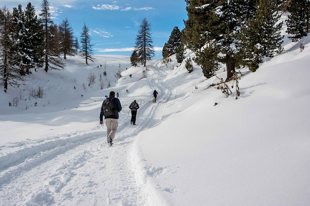 Verso il Col Bousson